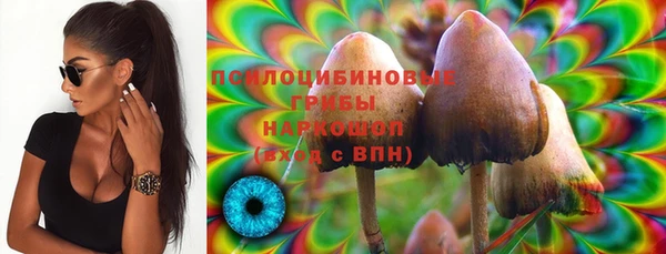 ПСИЛОЦИБИНОВЫЕ ГРИБЫ Киренск