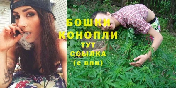 сатива Коряжма