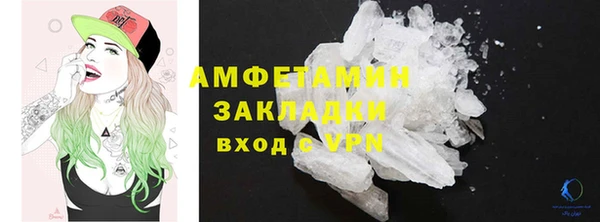 сатива Коряжма