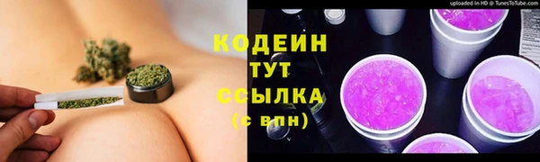 сатива Коряжма