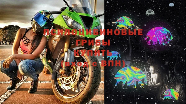 ПСИЛОЦИБИНОВЫЕ ГРИБЫ Киренск