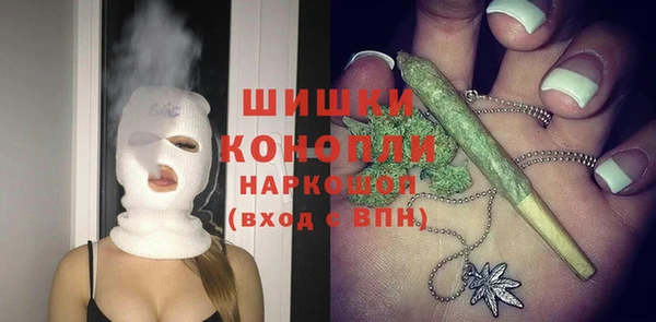 сатива Коряжма