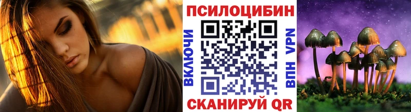 сайты даркнета Telegram Элиста Псилоцибиновые грибы Magic Shrooms